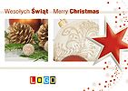 Wzór BZ1-361 - Kartki z LOGO, Karnety świąteczne z LOGO - podgląd miniaturka
