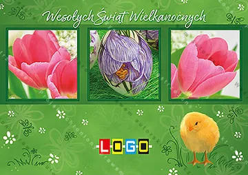 Trzy zdjęcia w zielonych ramkach: krokus fioletowy pośrodku, po bokach tulipany różowe, wyżej i niżej żółte pisklęta